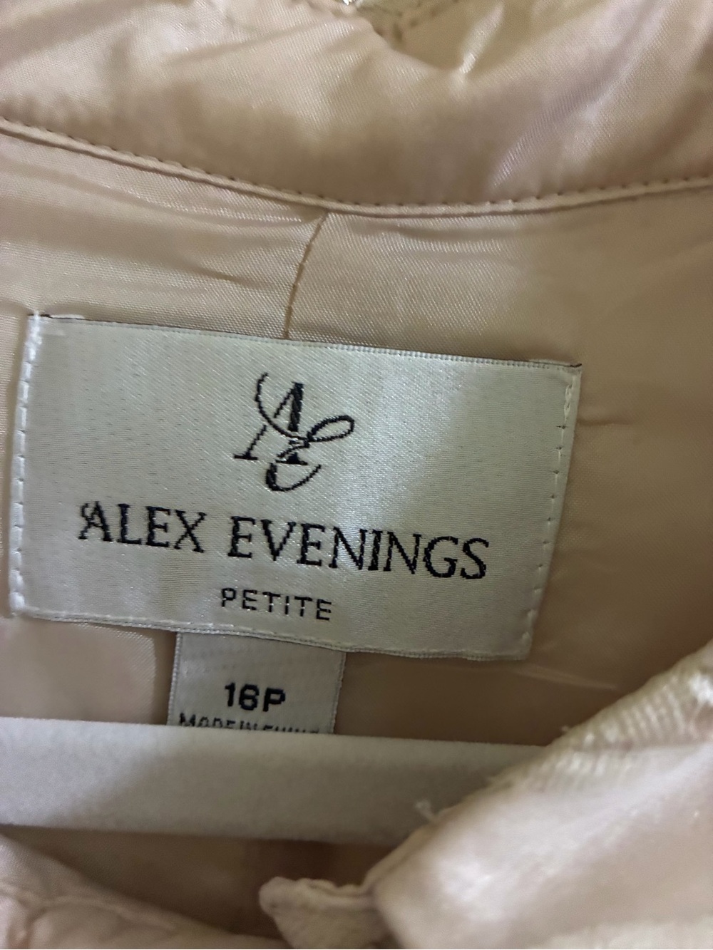 Alex Evenings Cream and Gold Floral Evening Gown Back View Art Photo